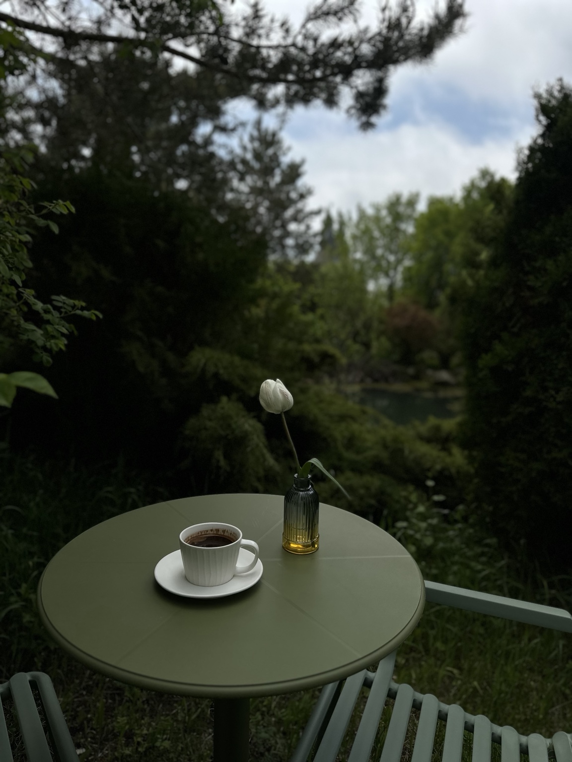 Coffee and a white tulip beside the garden pond at ma: