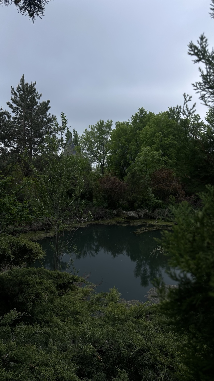 The garden pond