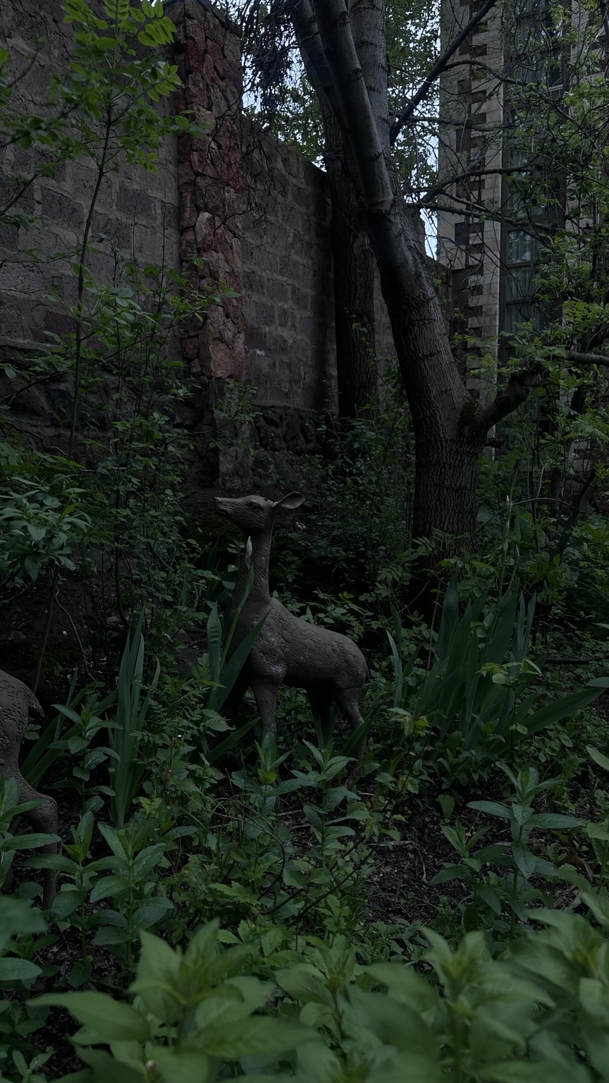 A hidden garden corner