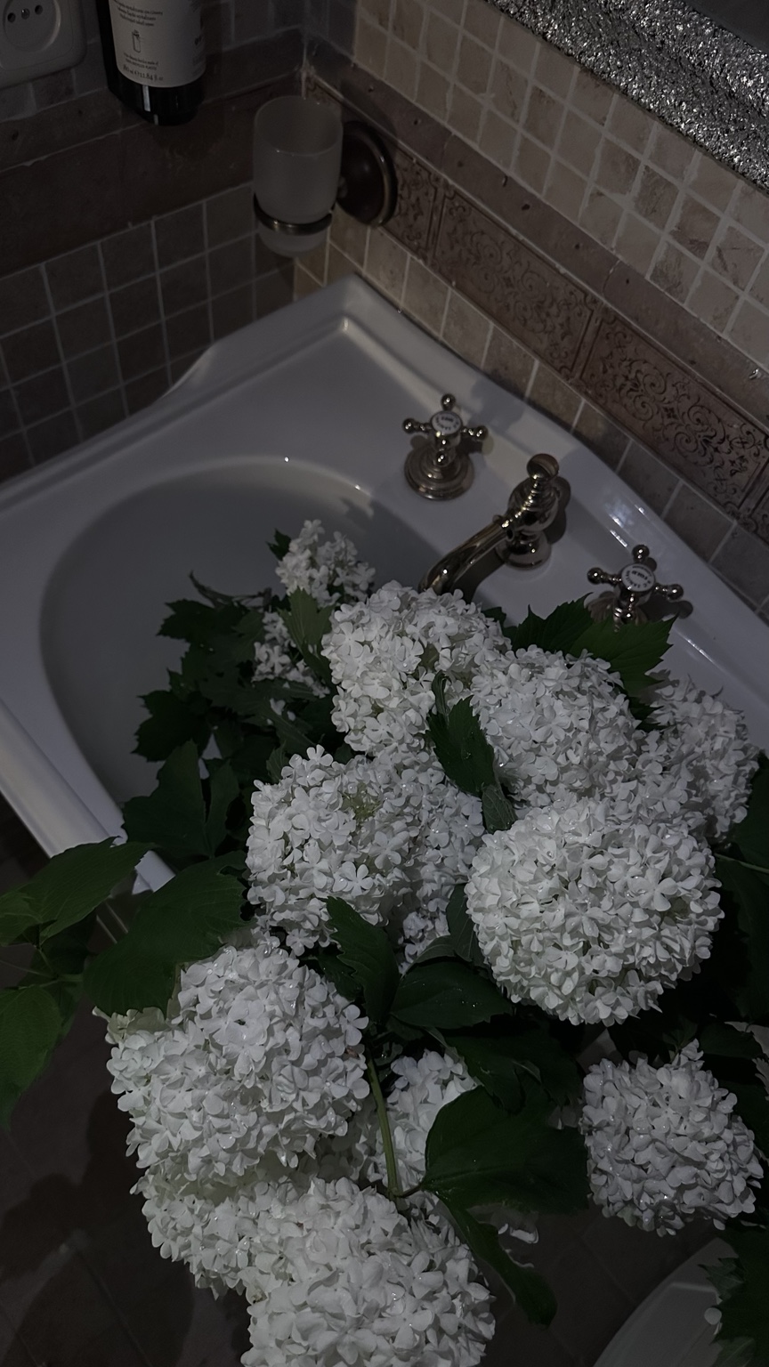 Little details, white flowers